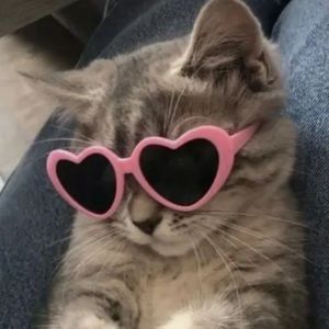 Meet your Posher, Anneke